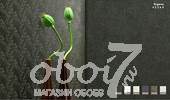 Коллекция Organza, артикул 45260