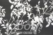 Коллекция Excess, артикул 8038-1