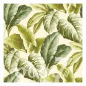 Коллекция Botanical, артикул ba2401
