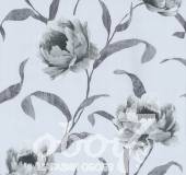 Коллекция Graziosa, артикул 42123-52