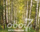 Коллекция Komar, артикул 8-301