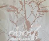 Коллекция Cool, артикул 87001
